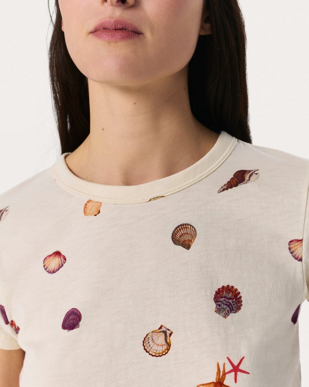 Seashell Graphic Tee - Ivory Multi - Image 4