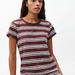 The Slub Striped T Shirt Brown Blue Multi